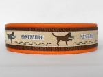 Mantrailer orange - Breite ca. 3,2 cm (incl. Leder)