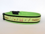 Obedience lime - Breite ca. 3,2 cm incl. Lederunterfütterung
