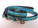 Halsband-Leinen-Set Agility blau-grün