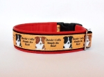 Border Collie - Simply the Best! - Breite ca. 3,2 cm (incl. Leder)