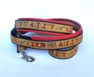 Halsband-Leinen-Set Agility gold