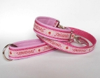 Agilityleine mit Jagdkarabiner - Prinzessin