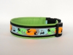Neon-Dogs - Breite ca. 3,2 cm (incl. Leder)