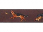 Schäferhund - 24 mm