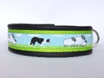 Border Collie grün - Breite 4 cm incl. Lederunterpolsterung