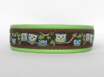 Sweet Owls - Breite ca. 2,7 cm (incl. Leder)