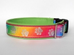 Rainbow-Paws - Breite ca. 3,2 cm (incl. Leder)