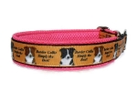 Border Collie - Simply the Best! - Breite ca. 3,2 cm incl. Airmesh-Unterfütterung