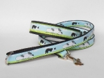 Halsband-Leinen-Set Border Collie