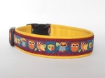 Bunte Eulen - Breite ca. 3,2 cm (incl. Leder)