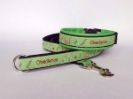 Halsband-Leinen-Set Obedience lime