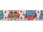 Crazy Owls - 16 mm