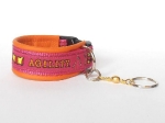 Clickerarmband Agility pink-orange