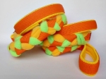 Agility-Zergelleine orange-gelb-neongrün