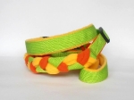 Agility-Zergelleine hellgrün-gelb-orange