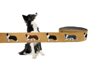 Border Collie Borte beige - neu