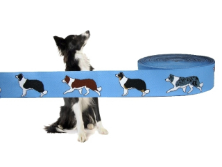 Border Collie Borte hellblau - neu