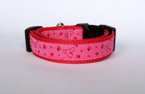 Hundinis - 22 - 36 cm - 2 cm breit Hundinis - 22 - 36 cm - 2 cm breit