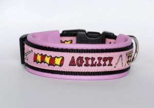 Agility-Prinzessin
