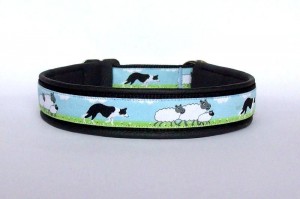Halsband "Border Collie" - Breite incl. Lederunterfütterung ca. 2,7 cm